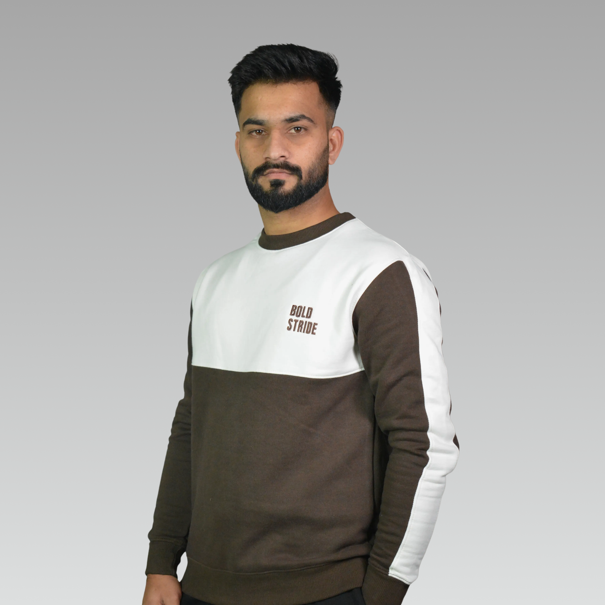 Quarter Color Premium Sweatshirt