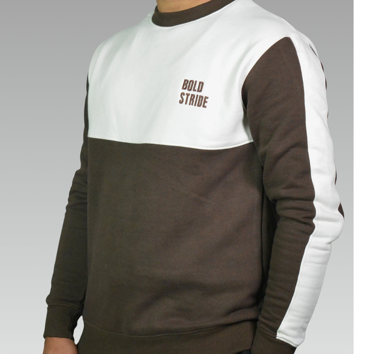 Quarter Color Premium Sweatshirt