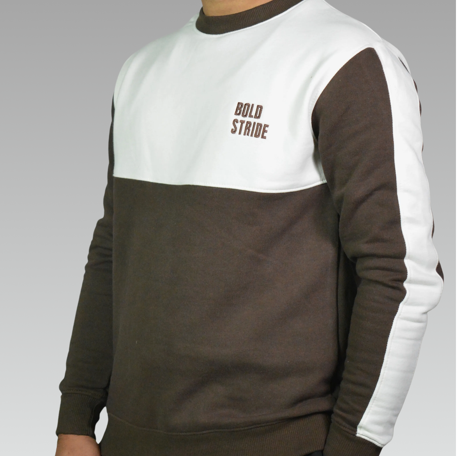 Quarter Color Premium Sweatshirt